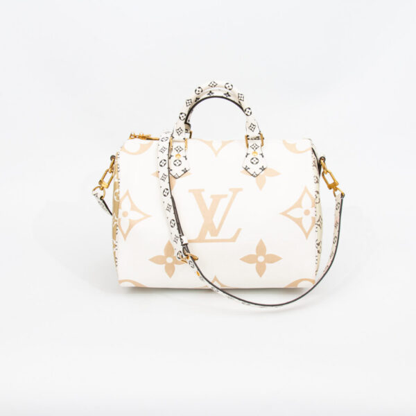 Louis Vuitton Speedy 30