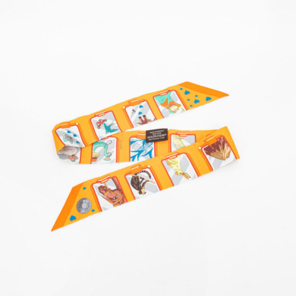 Hermès Twilly Hermès Story scarf