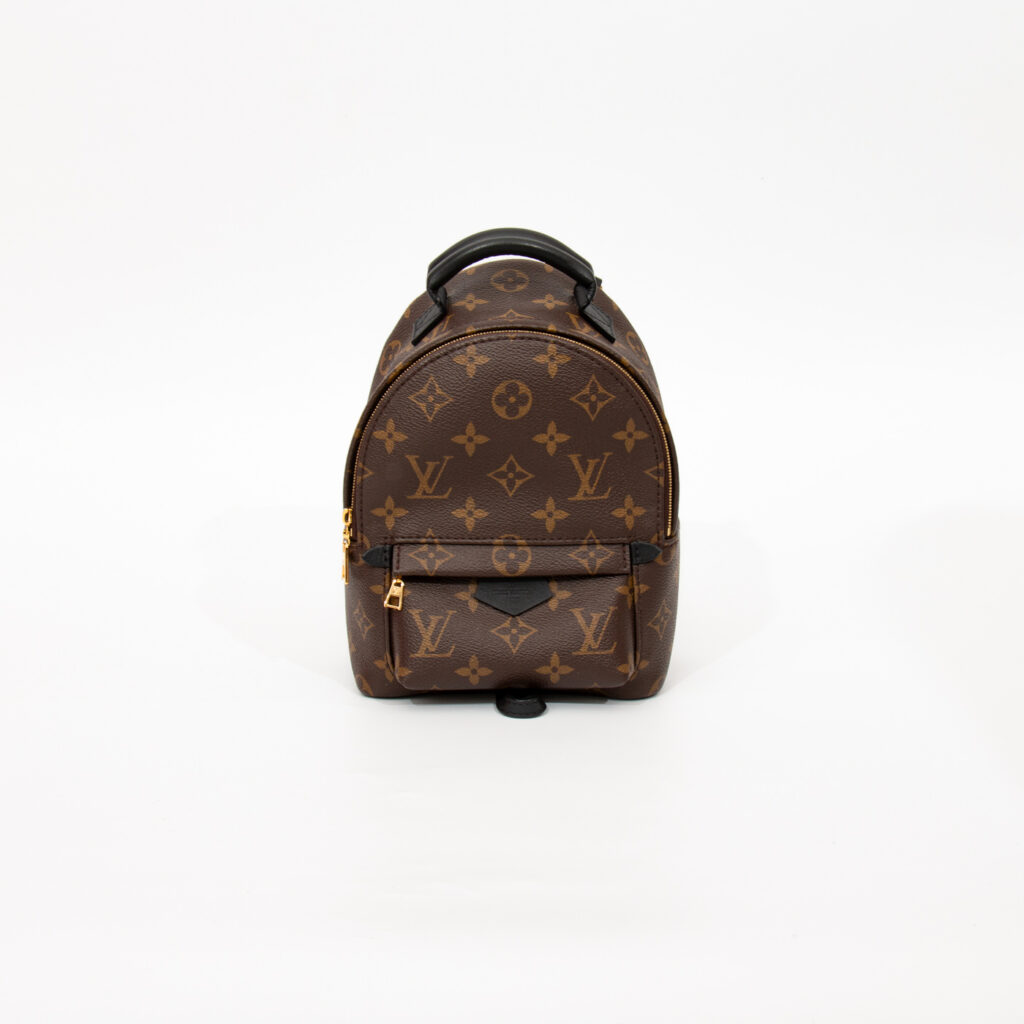 Louis Vuitton Palm Springs Mini Rucksack Monogram